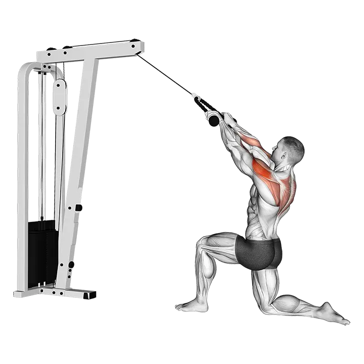Cable Kneeling Rear Delt Row (with rope) exercise animation (Male)