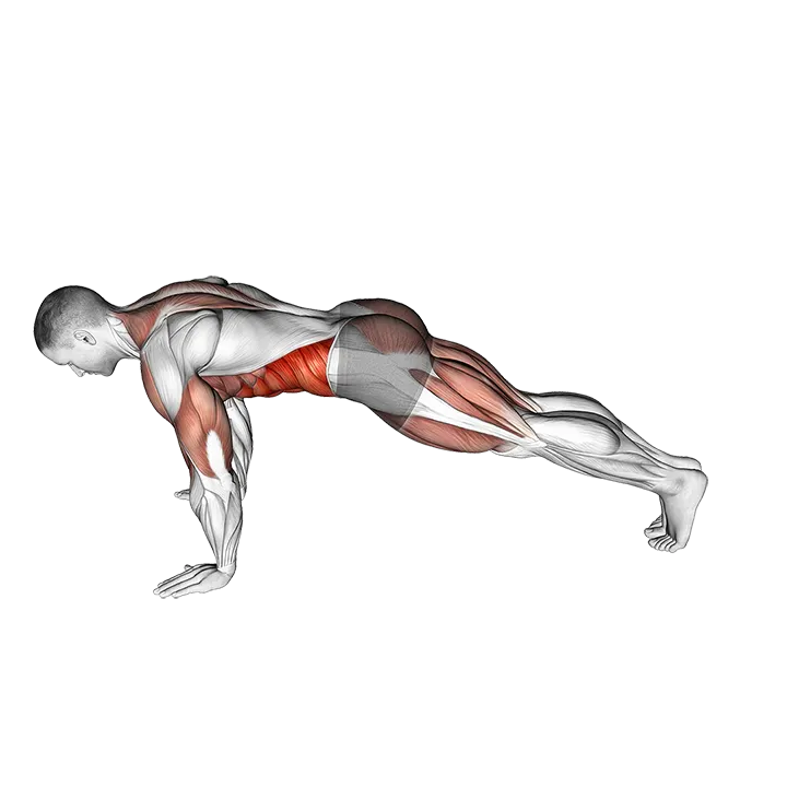 Inchworm (VERSION 2) exercise animation (Male)
