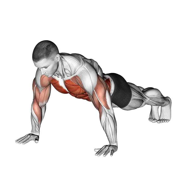 Shoulder Tap exercise animation (Male)