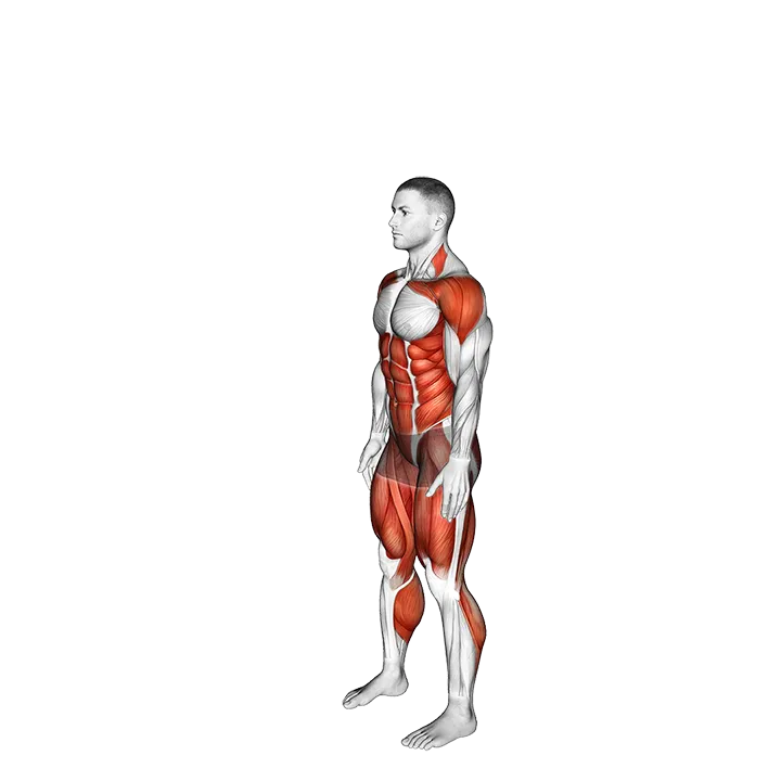 Tuck Jump (VERSION 2) exercise animation (Male)