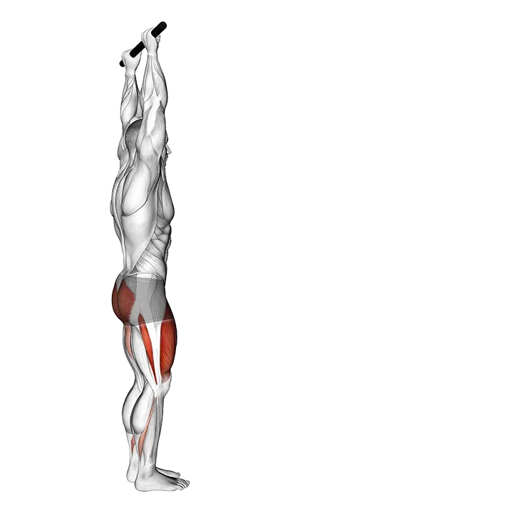 Forward Pulse Lunge with Hands Overhead exercise animation (Male)