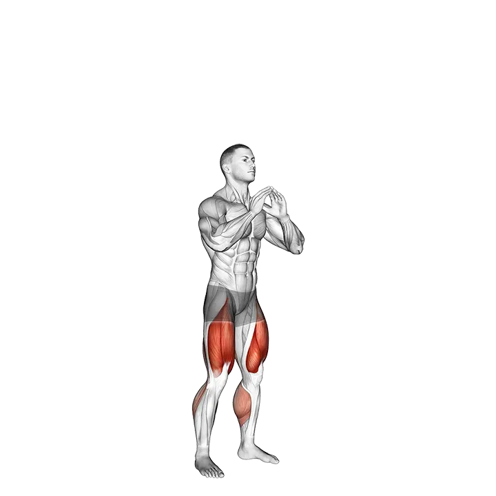 Double Jump Squat exercise animation (Male)