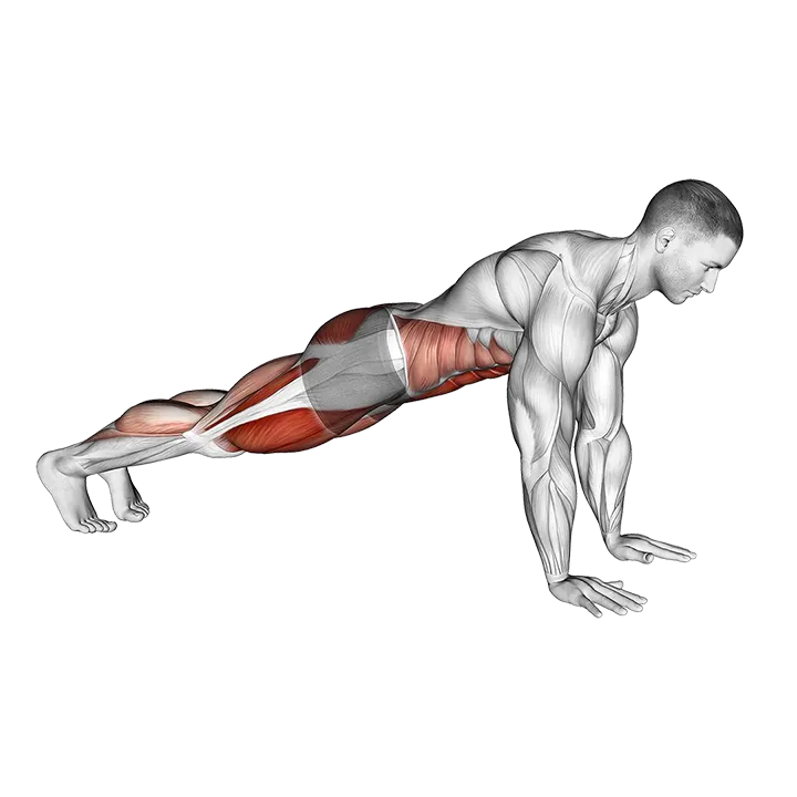 Squat Thrust exercise animation (Male)