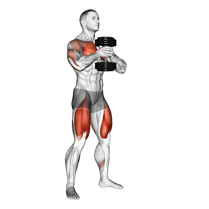Dumbbell Press Squat exercise animation (Male)