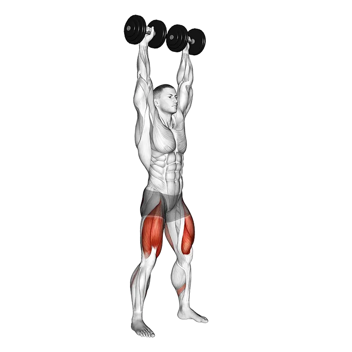 Dumbbell Overhead Squat exercise animation (Male)