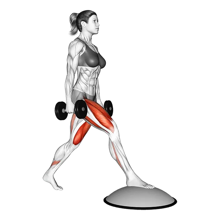 Dumbbell Split Squat Front Foot Elevanted with Bosu Ball exercise animation (Female)