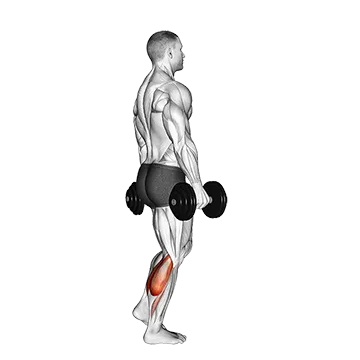 Dumbbell Standing Single Leg Calf Raise