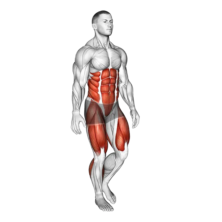 Single Leg Stand exercise animation (Male)