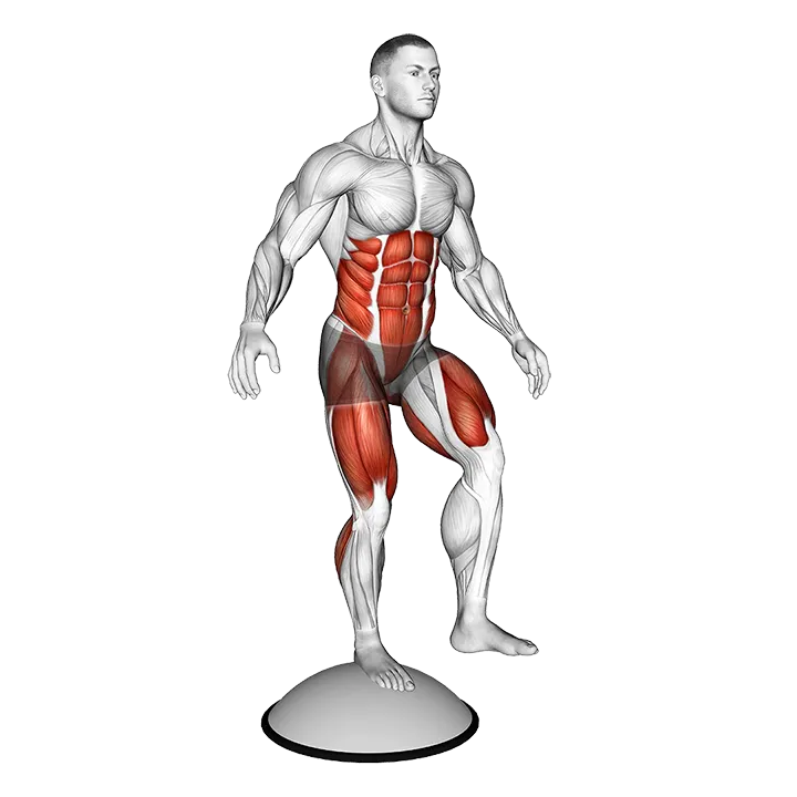 Single Leg Stand on Bosu Ball exercise animation (Male)