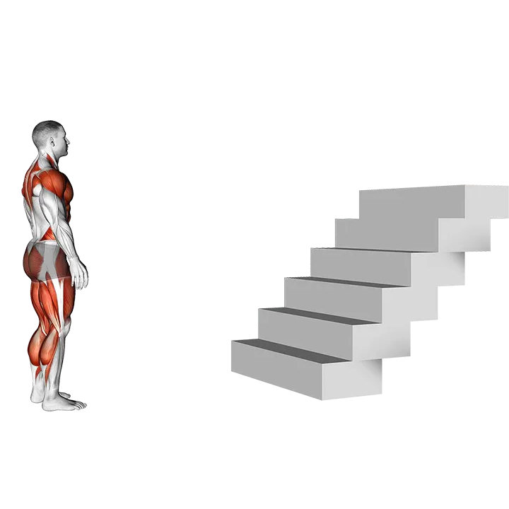 Stair Jump exercise animation (Male)