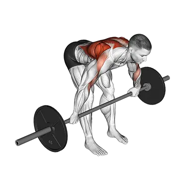 Barbell Bent Over Wide Grip Row
