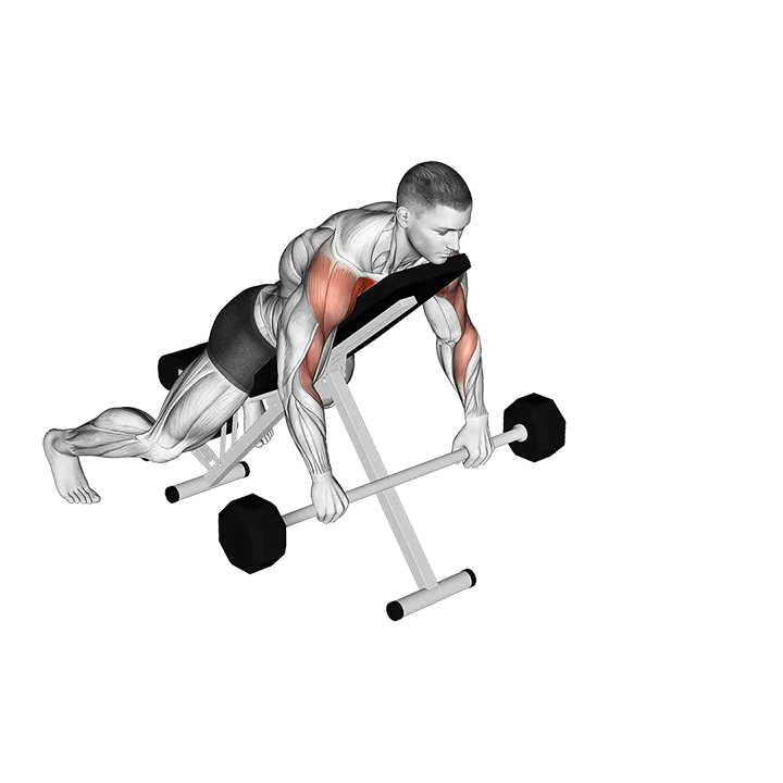 Barbell Incline Lying Rear Delt Raise exercise animation (Male)