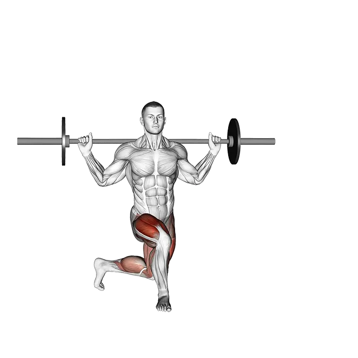 Barbell Curtsey Lunge exercise animation (Male)