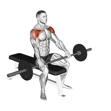 Barbell Seated Front Raise
