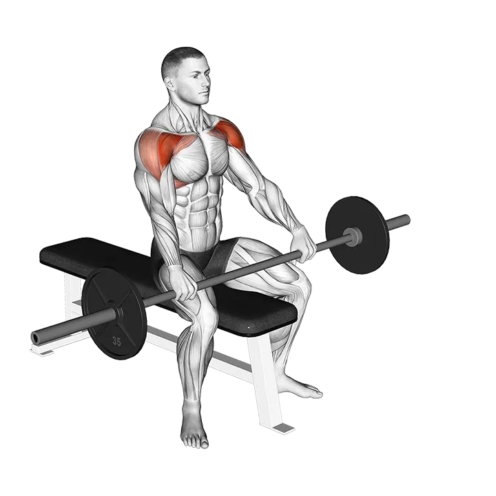 Barbell Seated Front Raise exercise animation (Male)