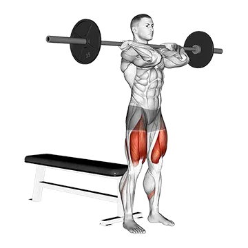 Barbell Front Bench Squat