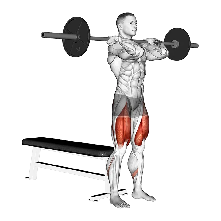 Barbell Front Bench Squat exercise animation (Male)
