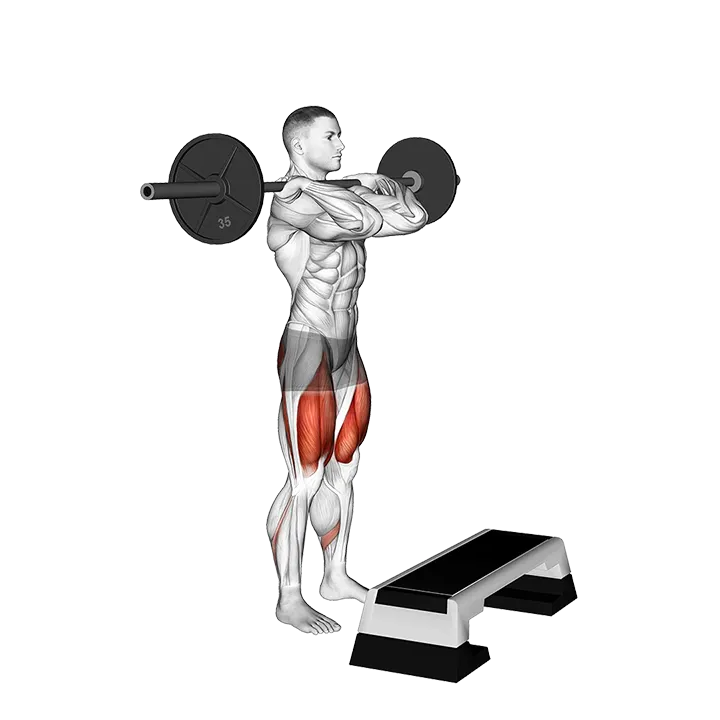 Barbell Front Step Up exercise animation (Male)
