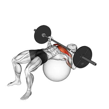 Barbell Chest Press on Stability Ball