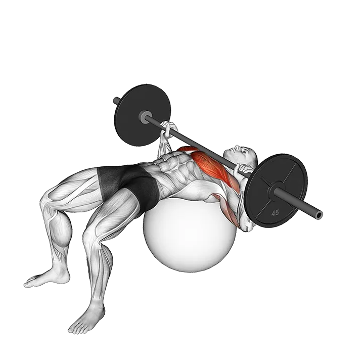 Barbell Chest Press on Stability Ball exercise animation (Male)