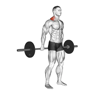 Barbell Behind The Back Shrug