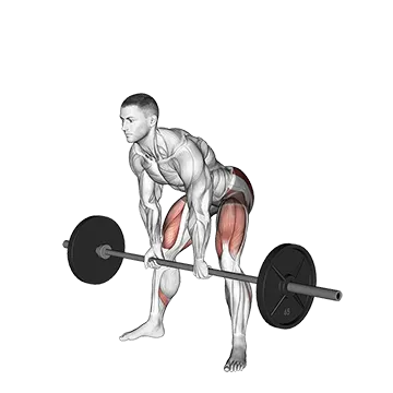 Barbell Sumo Romanian Deadlift