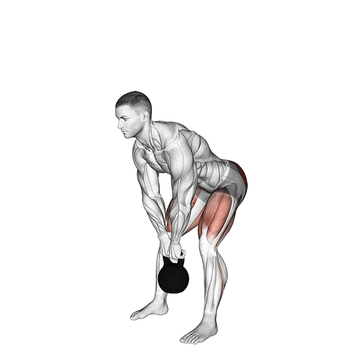 Kettlebell Straight leg Deadlift exercise animation (Male)
