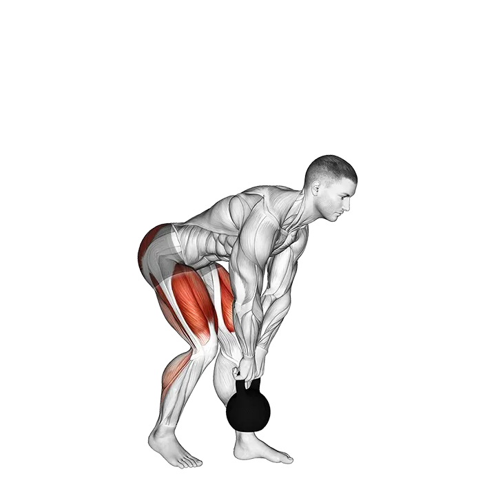 Kettlebell Kickstand One Leg Deadlift exercise animation (Male)