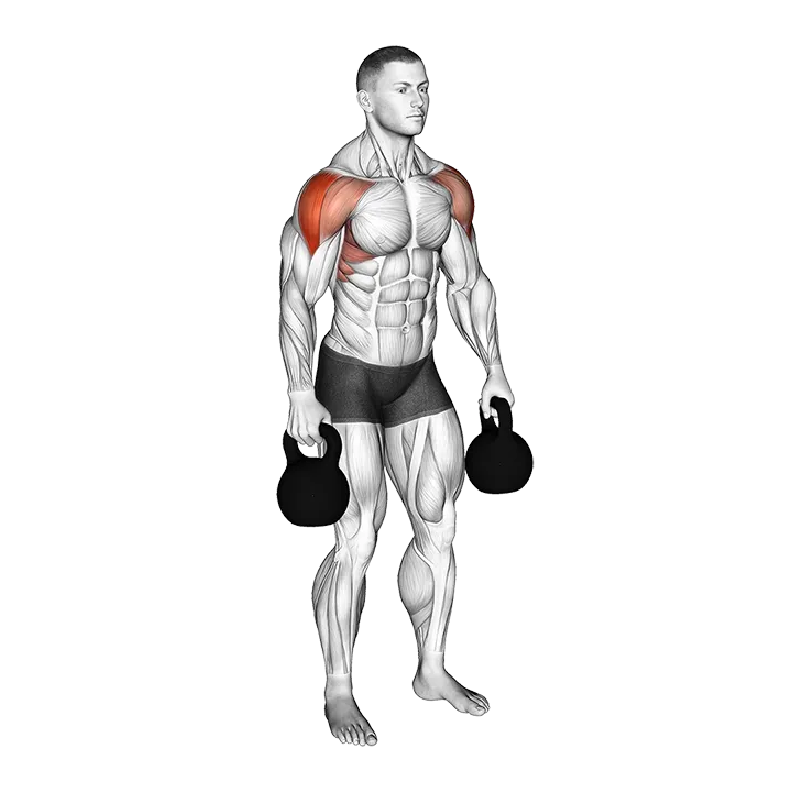 Kettlebell Lateral Raise exercise animation (Male)