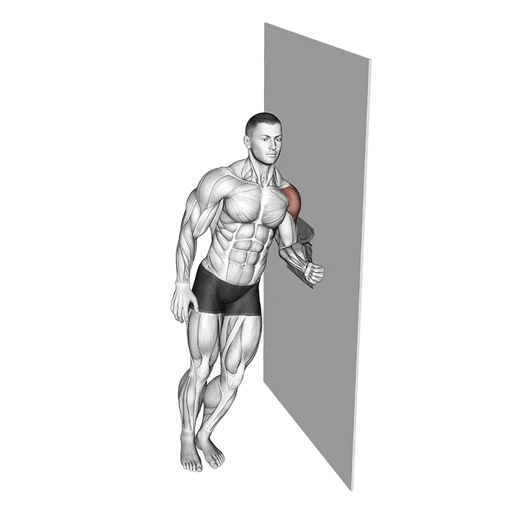 Lateral Raise with Towel exercise animation (Male)