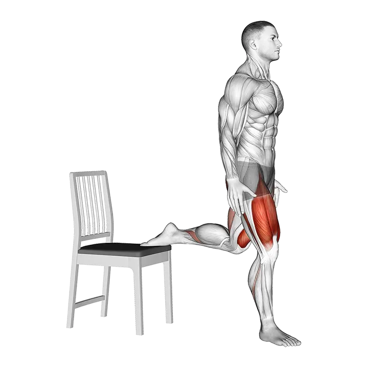 Bulgarian Split Squat with Chair exercise animation (Male)