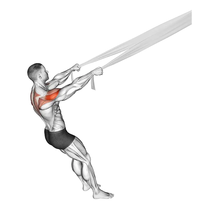 Rear Delt Fly with Bed Sheet exercise animation (Male)