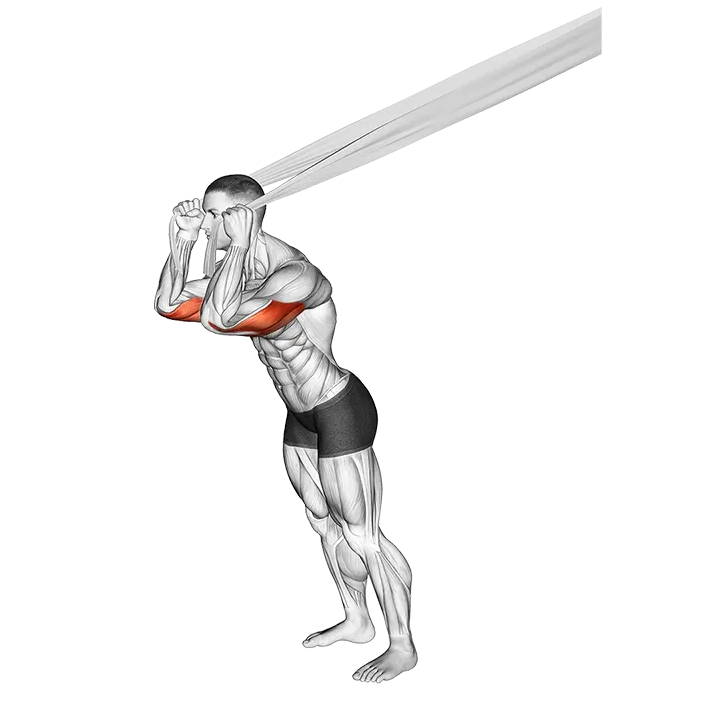 Overhead Triceps Extension with Bed Sheet exercise animation (Male)