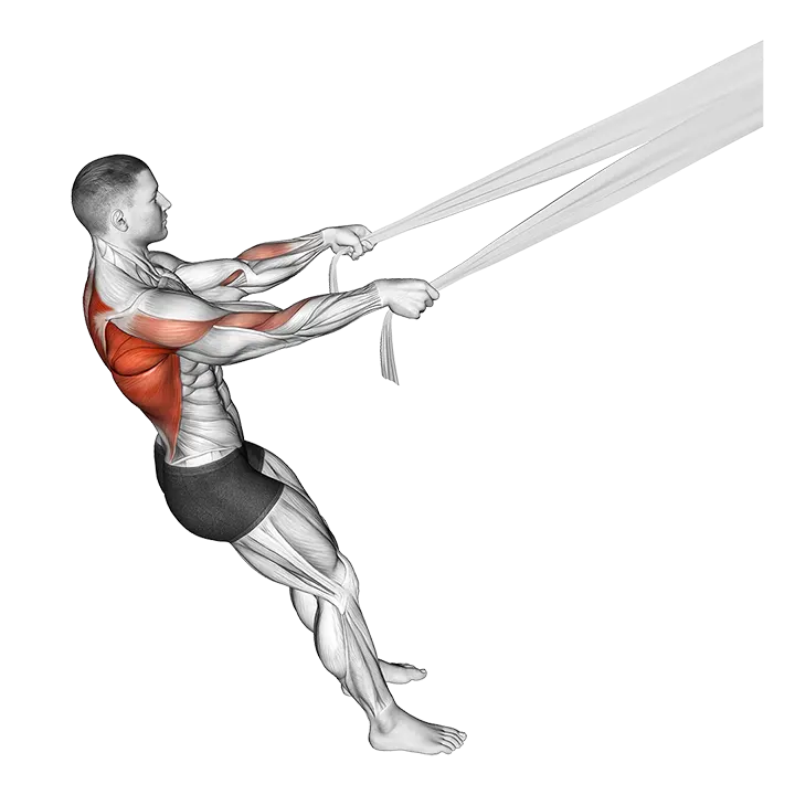 Rear Delt Row with Bed Sheet exercise animation (Male)