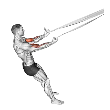 Biceps Curl with Bed Sheet