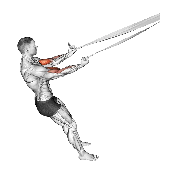 Biceps Curl with Bed Sheet exercise animation (Male)