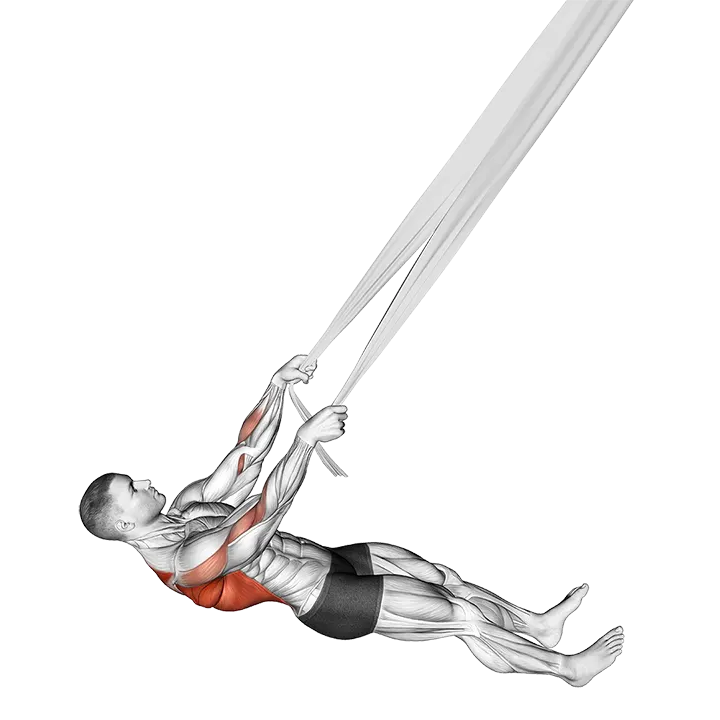 Inverted Row with Bed Sheet exercise animation (Male)