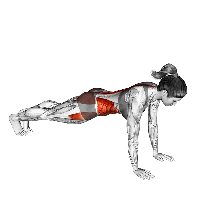 Front Plank Side Hop exercise animation (Female)