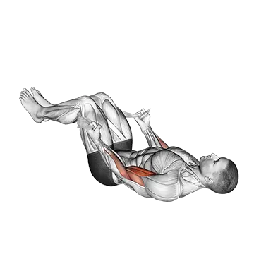 Lying Double Legs Biceps Curl with Towel