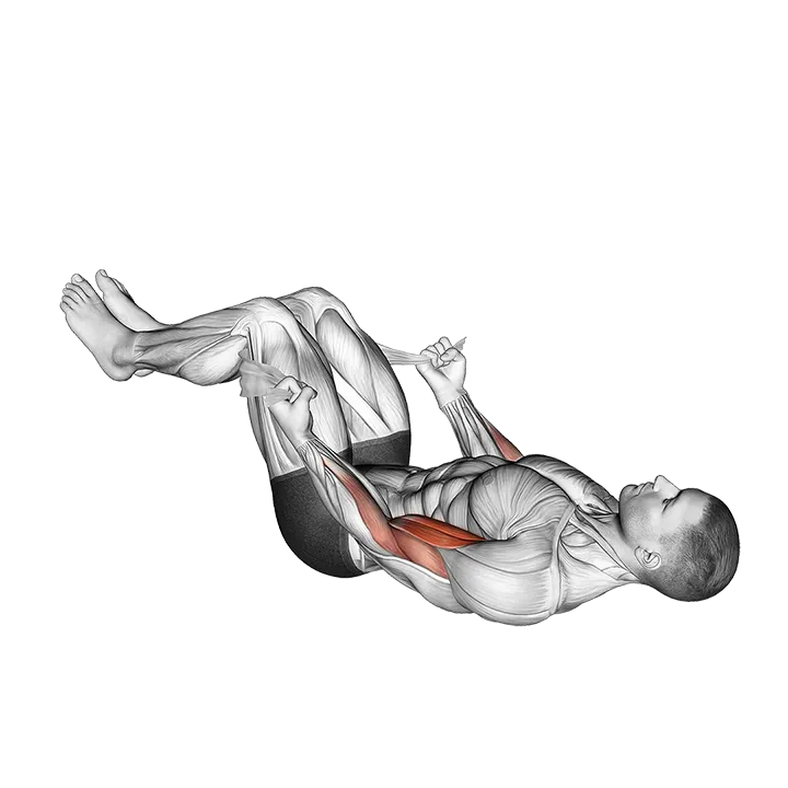 Lying Double Legs Biceps Curl with Towel exercise animation (Male)