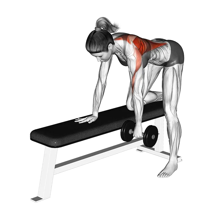 Dumbbell Rear Delt Row exercise animation (Female)
