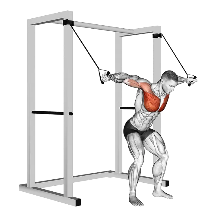 Band high fly exercise animation (Male)