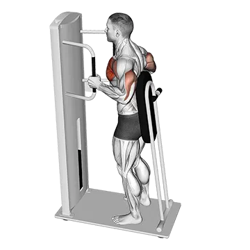 Lever Standing Chest Press