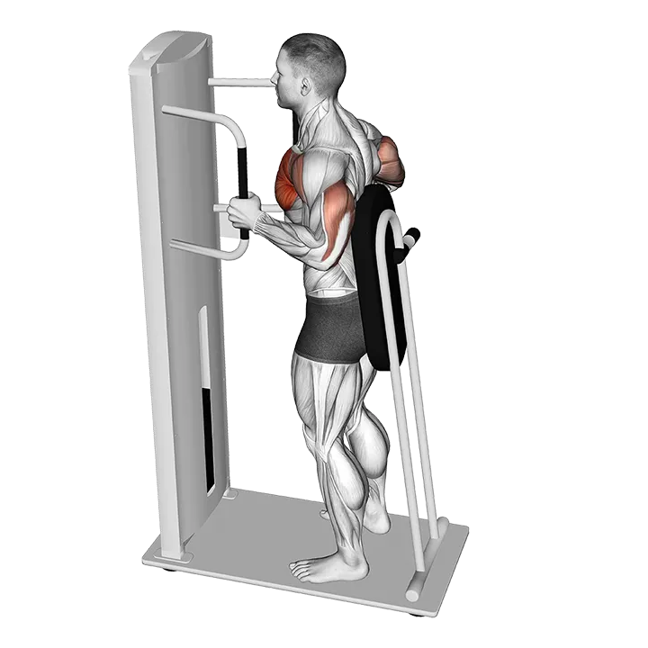 Lever Standing Chest Press exercise animation (Male)