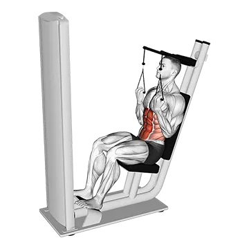 Lever Seated Crunch (VERSION 2)