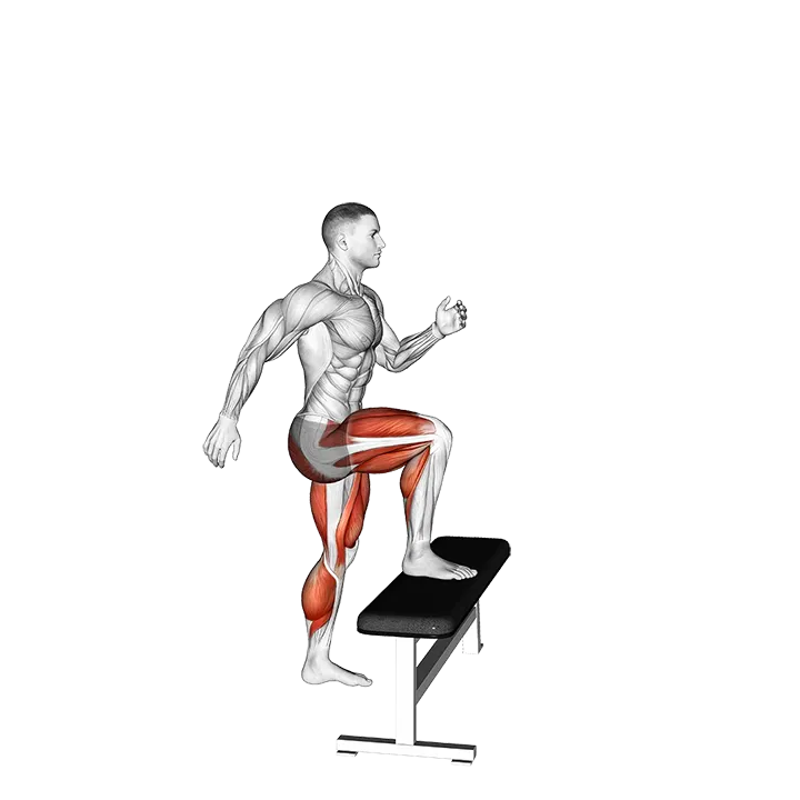 Jump Step-Up exercise animation (Male)