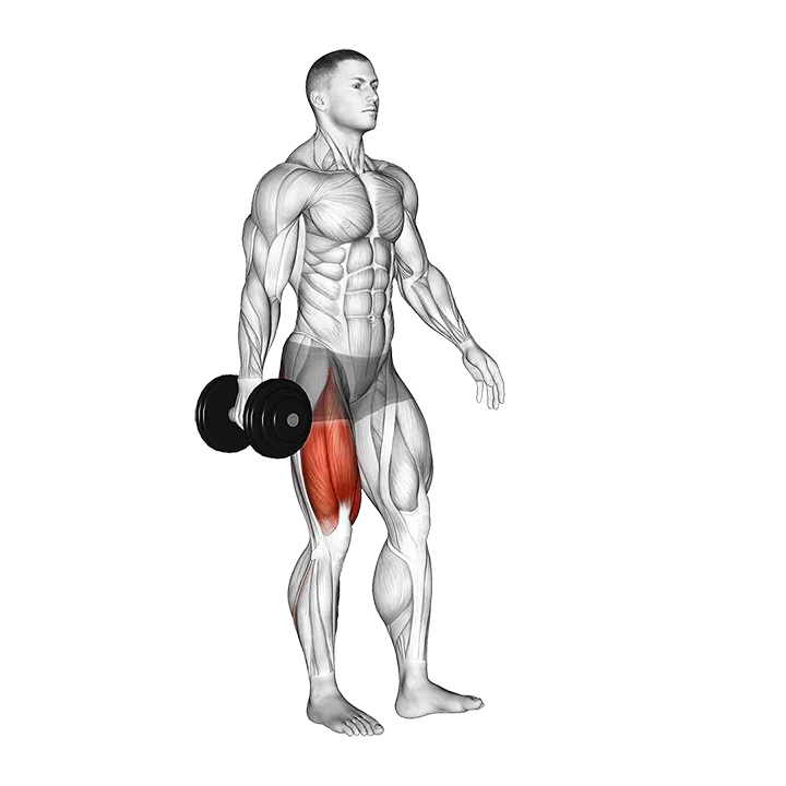 Dumbbell Single Leg Squat (VERSION 2) exercise animation (Male)