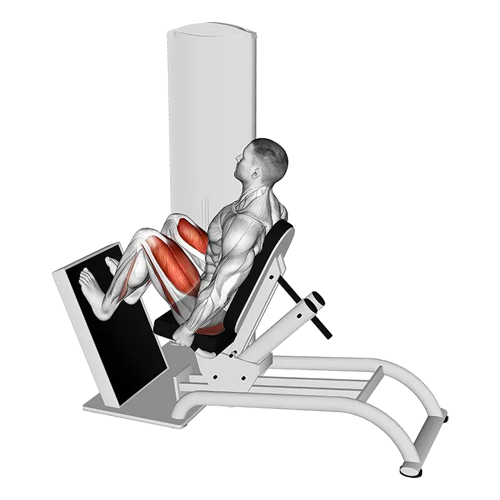 Lever Seated Horizontal Leg Press exercise animation (Male)