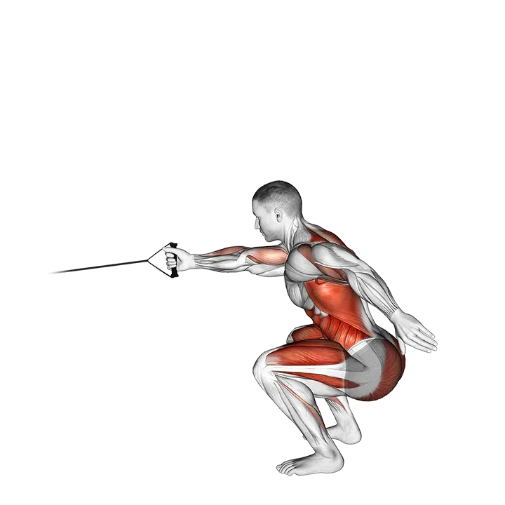 Band Squat with Single Arm Row exercise animation (Male)