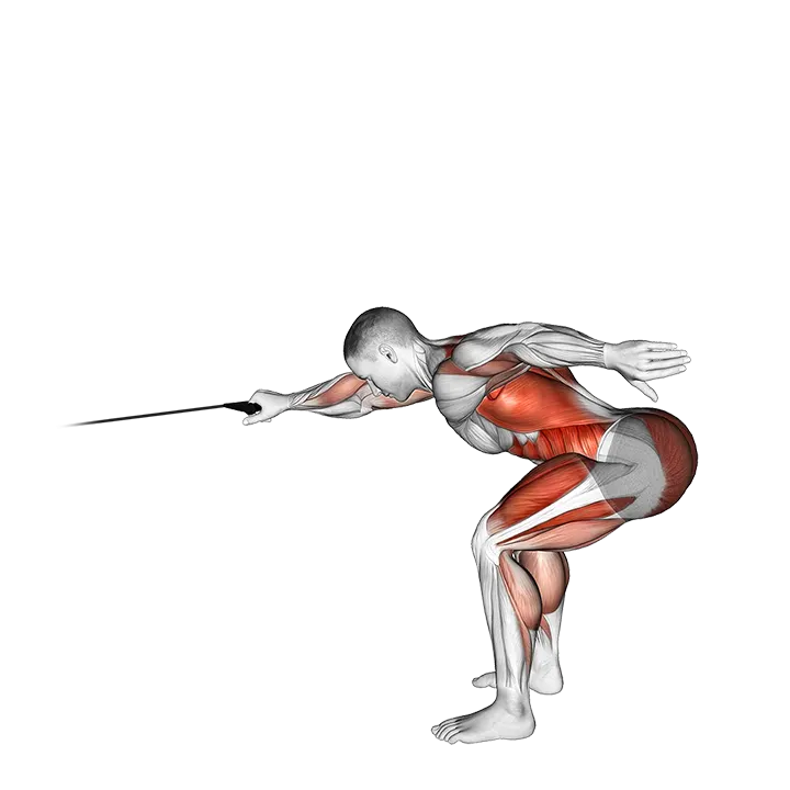 Band Deadlift with Single Arm Row exercise animation (Male)